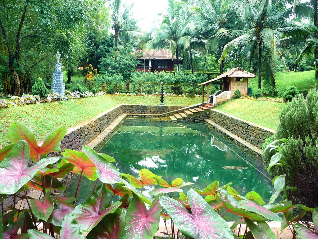 Soma Birds Lagoon Hotell Kotamangalam Exteriör bild